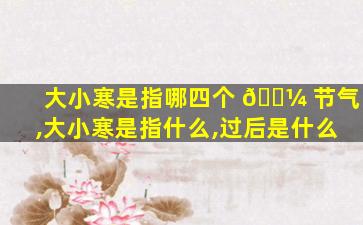 大小寒是指哪四个 🌼 节气,大小寒是指什么,过后是什么